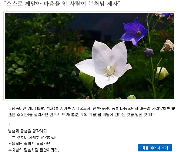 함께읽는불교경전