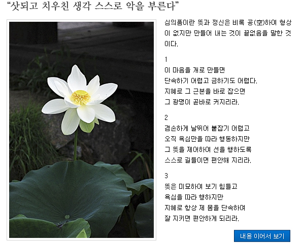 함께읽는불교경전