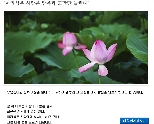 함께읽는불교경전