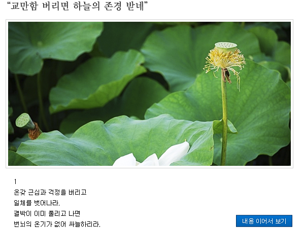 함께읽는불교경전